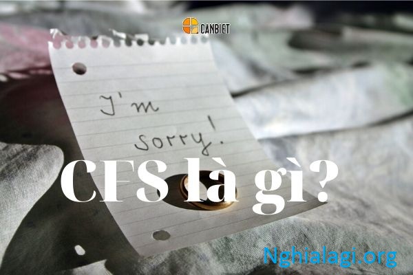 CFS là gì ? Giải thích về Phí CFS và Kho CFS - Nghialagi.org