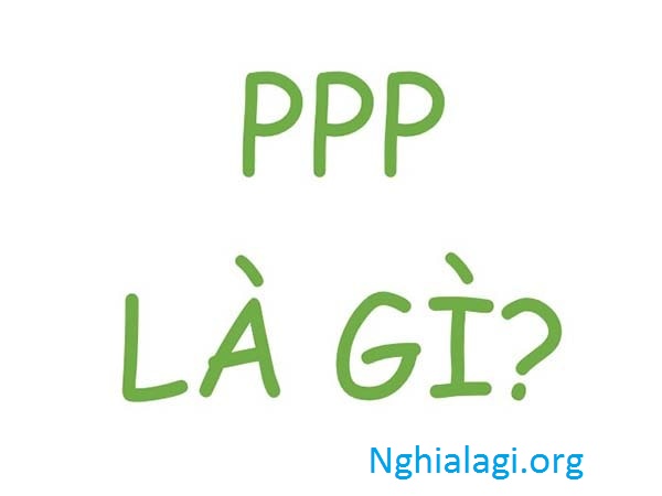 PPP là gì? Ảnh hưởng thế nào đến nền kinh tế Việt Nam - Nghialagi.org